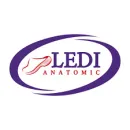 LEDI Anatomic